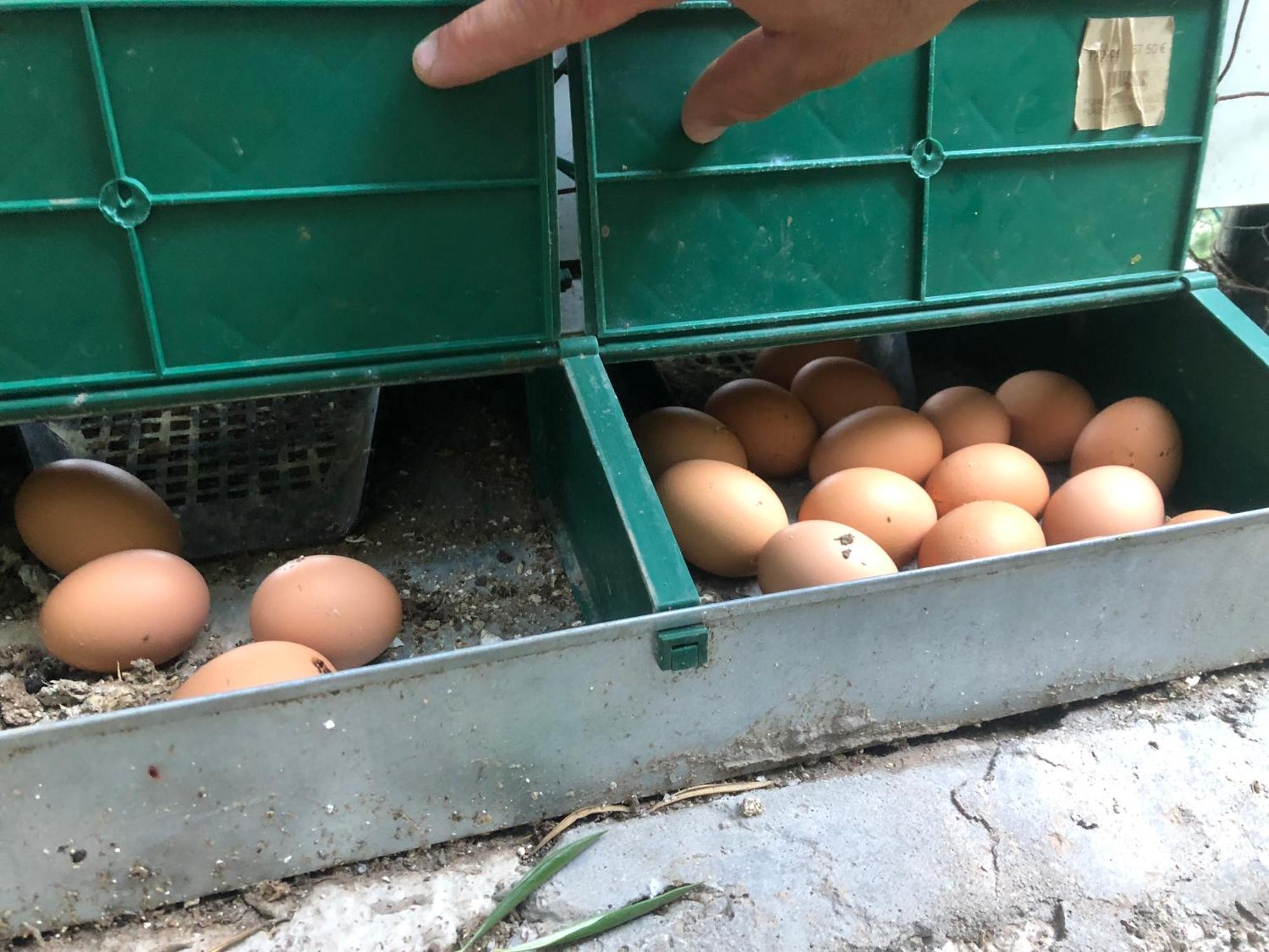 Finca Mariola - Alpendre San Bartolomé 外观 照片